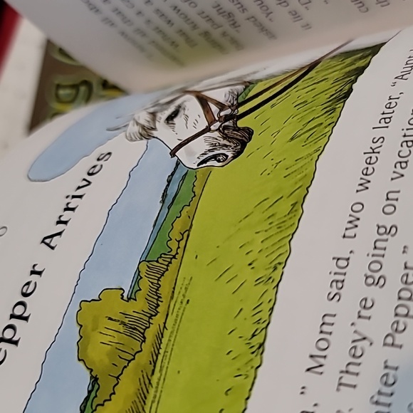 Looking After Pepper Educational Reader Booklet Edition - Picture 3 of 4